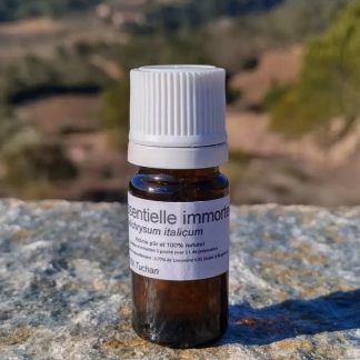knop om Strobloem Etherische olie Bio 5ml te kopen