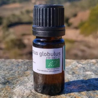 knop om Eucalyptus globulus olie 5ml te kopen