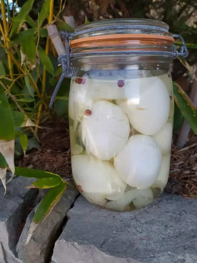 Recept gemarineerde eieren 1 knop om Recept gemarineerde eieren te maken