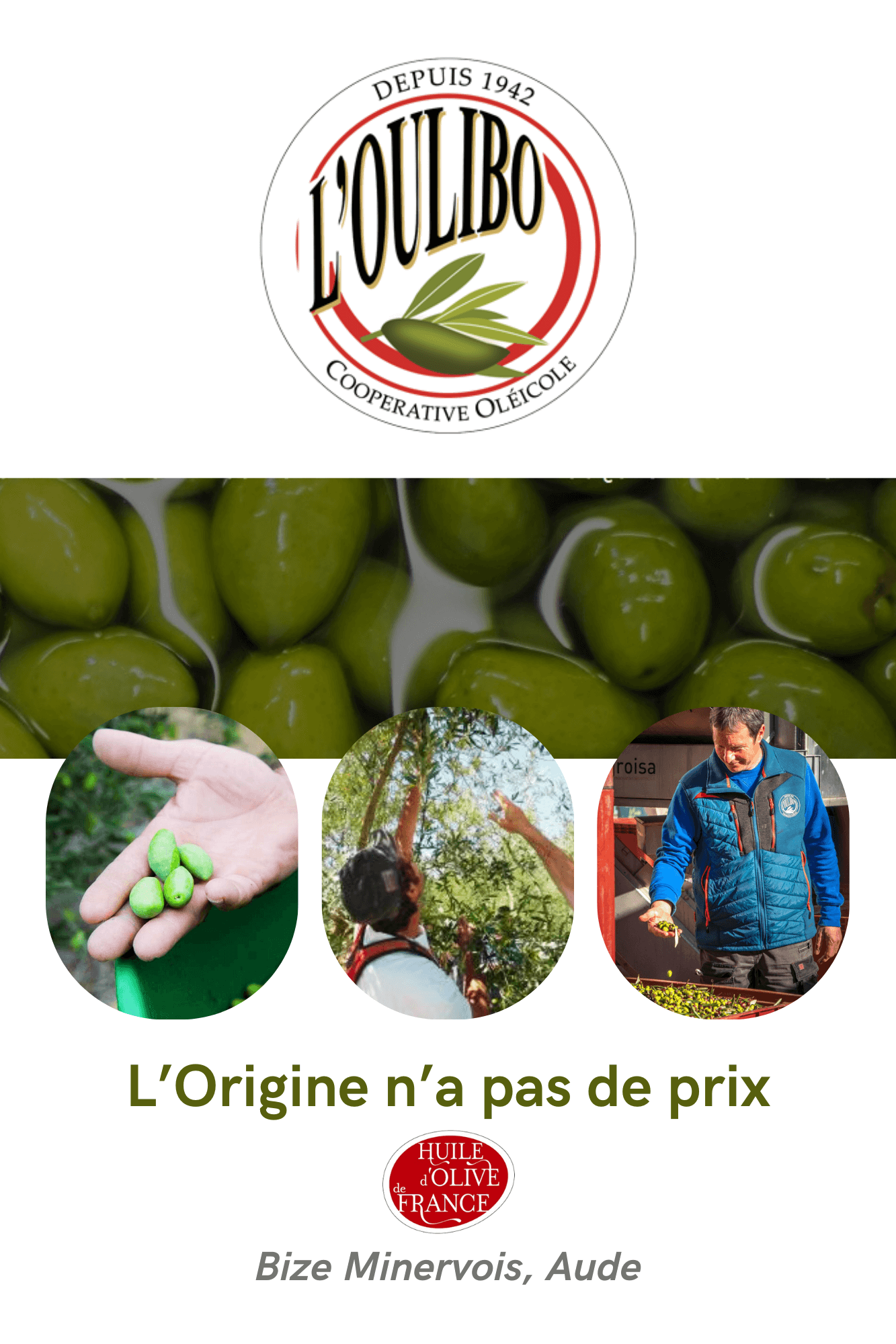 Olijventapenade met mosterd 2 knop om Pittige olie voor pizza bis te kopen