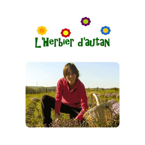 Knop om Bio herbalist bis 1 1 te kopen